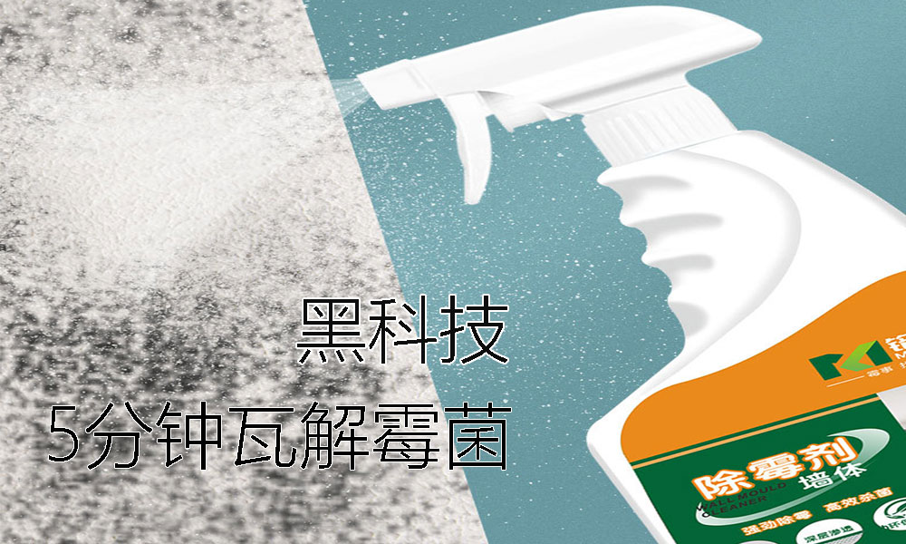 瓷磚墻面_墻壁紙_家用墻體除霉劑 白墻壁怎么去霉斑